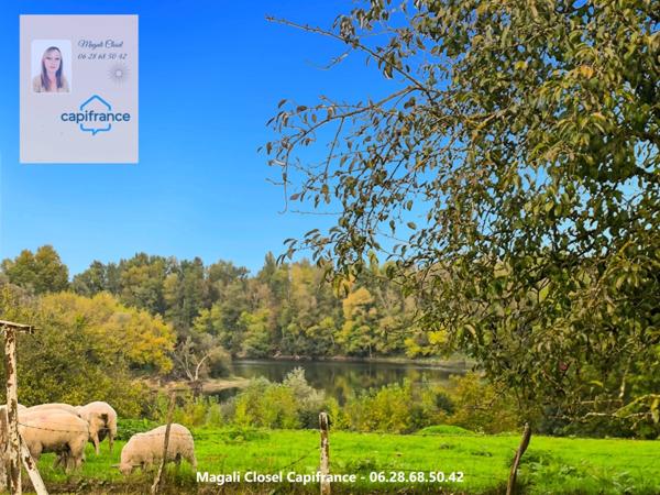 Maison de Maitre sur plus d'1,4 hectare + dépendances