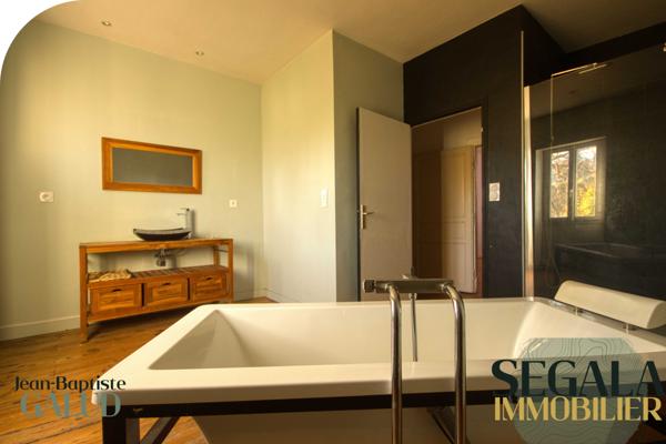 Blaye-les-Mines (81400) BLAYE LES MINES - Maison bourgeoise avec local commercial et grand jardin