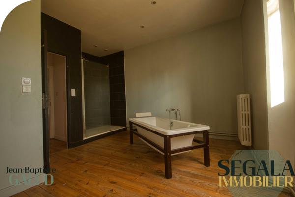 Blaye-les-Mines (81400) BLAYE LES MINES - Maison bourgeoise avec local commercial et grand jardin