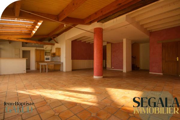 Blaye-les-Mines (81400) BLAYE LES MINES - Maison bourgeoise avec local commercial et grand jardin