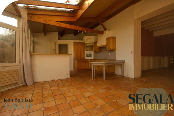 Blaye-les-Mines (81400) BLAYE LES MINES - Maison bourgeoise avec local commercial et grand jardin