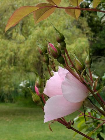 A deux pas de Perros-Guirec et de la plage de Trestraou