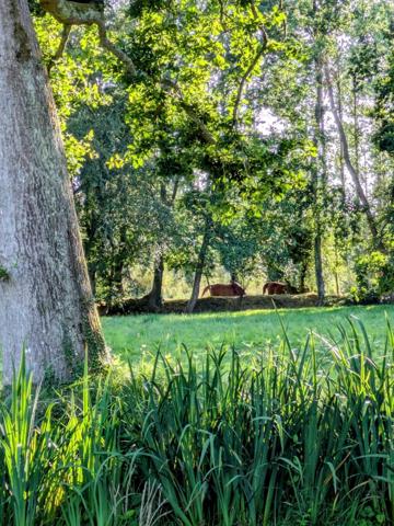 A deux pas de Perros-Guirec et de la plage de Trestraou