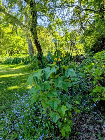 A deux pas de Perros-Guirec et de la plage de Trestraou