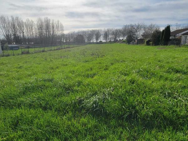 Vente / Terrain constructible