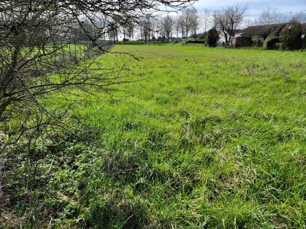 Vente / Terrain constructible