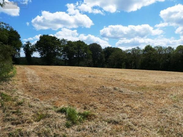 Maison à vendre à Plouray dans le Morbihan (56770), ref : 56075-2235