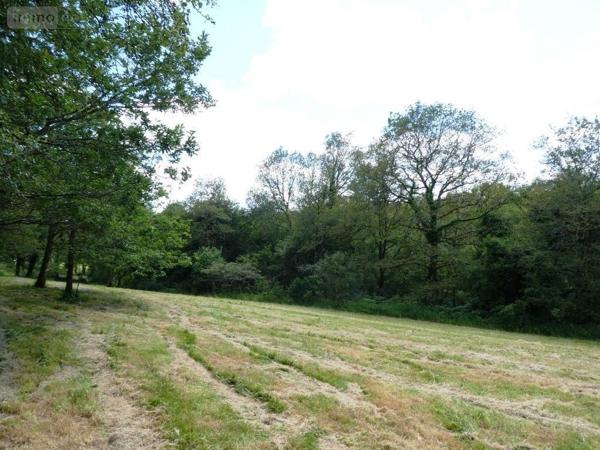 Maison à vendre à Plouray dans le Morbihan (56770), ref : 56075-2235
