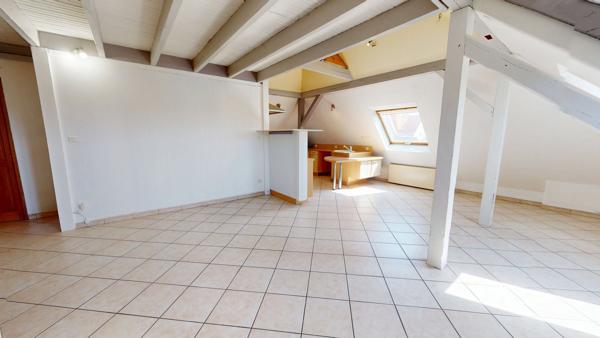 F3 atypique 58 m² / 110 m² au sol