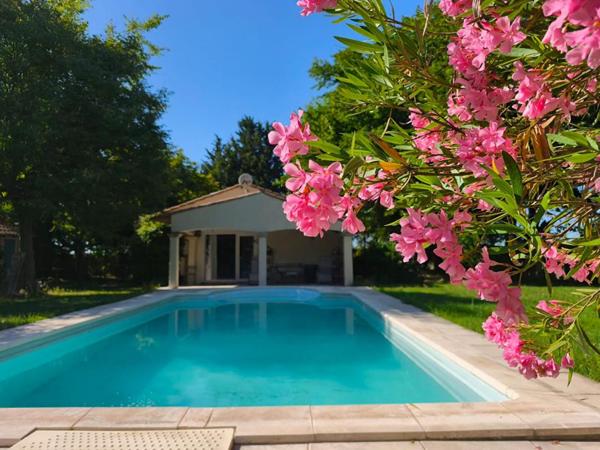 VIAGER OCCUPE SUR 1 TETE DAME 78 ANS PERNES LES FONTAINES