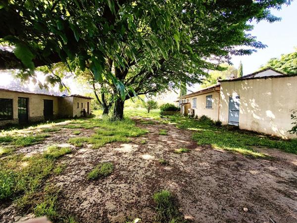 VIAGER OCCUPE SUR 1 TETE DAME 78 ANS PERNES LES FONTAINES