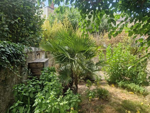 TOURS - Quartier La Fuye - Maison 3 pièces, 2 chambres, son jardin arboré et ses 2 caves.