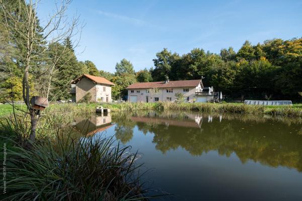 Très grande maison de famille, avec immense terrain de 8720 m2, étang poisonneux, verger, dépendances