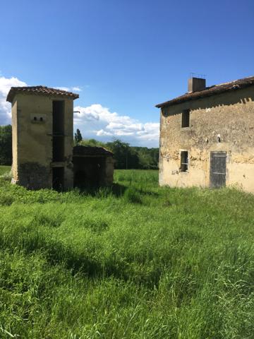 CORPS DE FERME A RENOVER plus de 6HA - Entre Bazas et Langon - Gironde (33) - Aquitaine