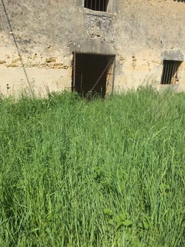 CORPS DE FERME A RENOVER plus de 6HA - Entre Bazas et Langon - Gironde (33) - Aquitaine