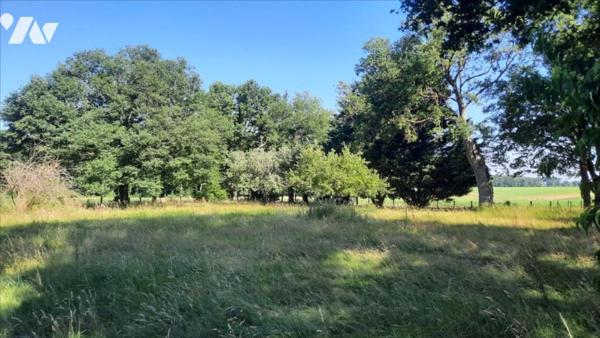 Maison avec parc et petit plan d'eau