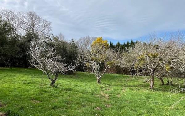Terrain à vendre    Mouguerre