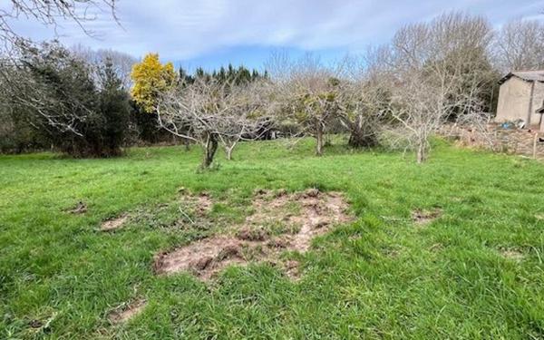 Terrain à vendre    Mouguerre