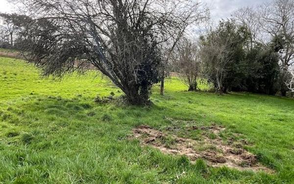 Terrain à vendre    Mouguerre