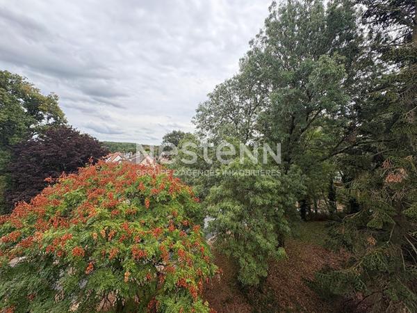 Nestenn Igny - Appartement 2 pièces avec terrasse, non meublé, dernier étage avec ascenseur, cave et parking, vue dégagée, proche Orsay
