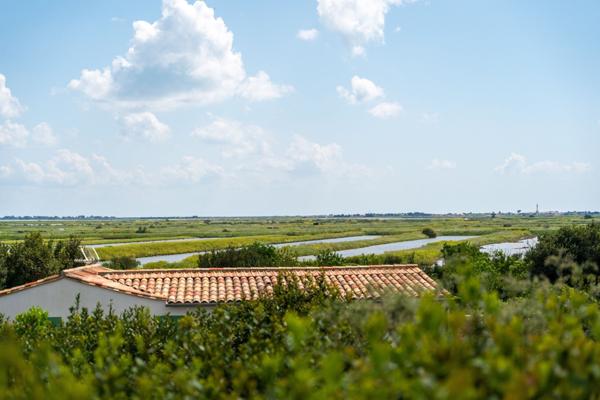 Ile de ré - Les Portes en Ré - Maison entre marais et océan