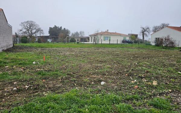 Terrain à vendre    Semussac