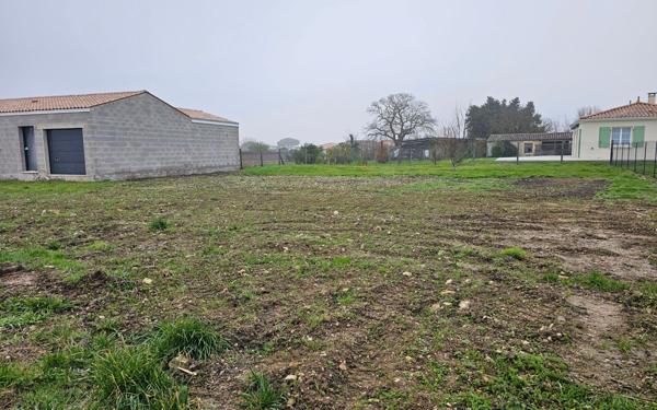 Terrain à vendre    Semussac