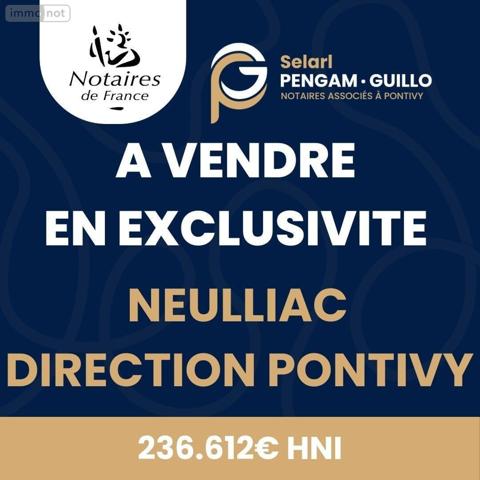 Maison à vendre à Neulliac dans le Morbihan (56300), ref : 56062-2276