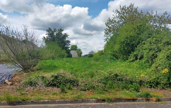 Vente Terrain ref.7230 Villaines-la-juhel   