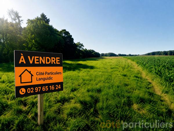 Vente
                Terrain452 m² - LANGUIDIC (56440)