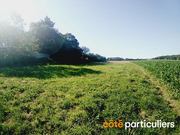 Vente
                Terrain452 m² - LANGUIDIC (56440)