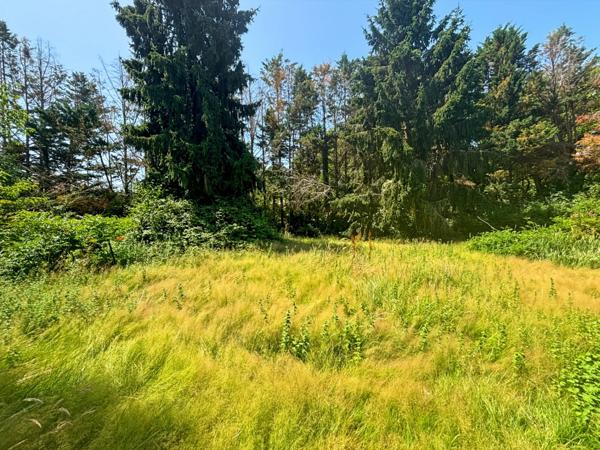 Maison 5 pièces de 120m² Terrain 4 355 m² Manciet