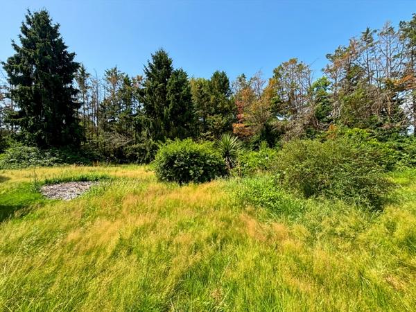 Maison 5 pièces de 120m² Terrain 4 355 m² Manciet