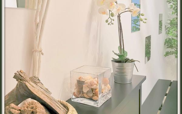 Appartement à louer    1 pièce •  Talence