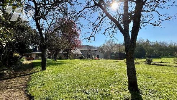 Maison de campagne sur 1ha de terrain