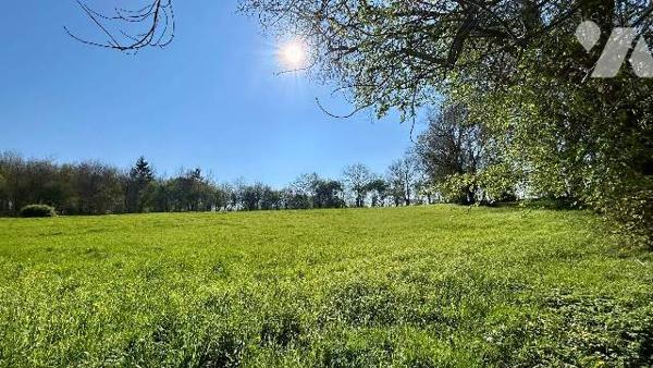 Maison de campagne sur 1ha de terrain