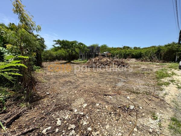 Vente Terrain500 m² - Saint-François (97118)