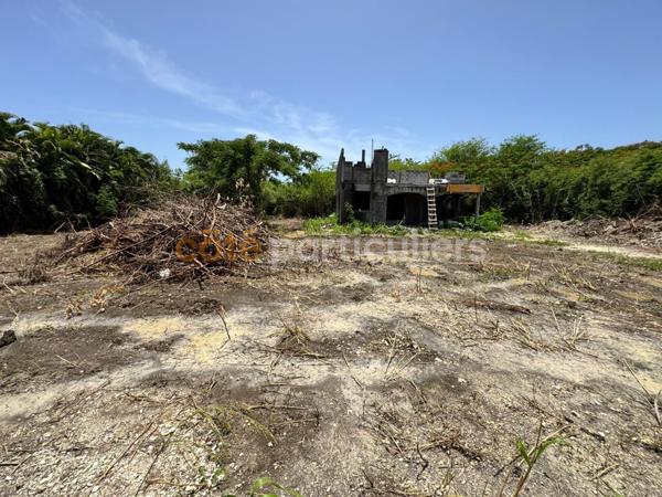 Vente Terrain500 m² - Saint-François (97118)