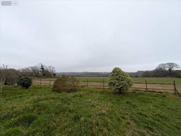 Maison à vendre à Riec sur Bélon dans le Finistère (29340), ref : 29114-1071675