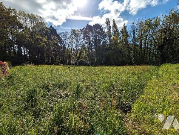 A Pont-Aven (Finistère Sud), Centre: 
Dans un cadre boisé, en fond d'impasse, terrain à bâtir....