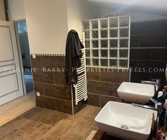 BELLE PROPRIETE AVEC GITE A 15 MINUTES DE ROCHEFORT