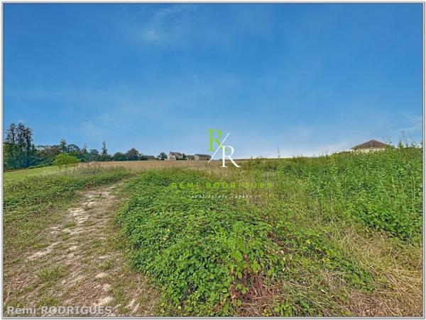 Vente / Terrain constructible