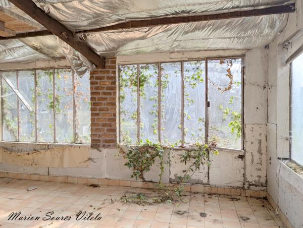 CHAUMES-EN-BRIE.Maison familiale de caractère sur plus de 800 m² de terrain.