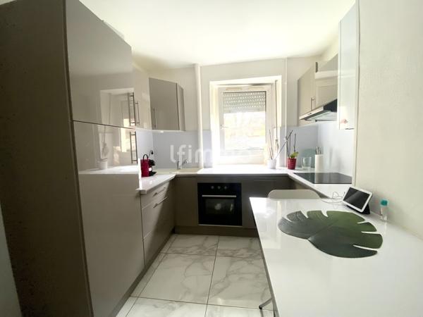 Centre Mulhouse F3 rénové avec extérieur