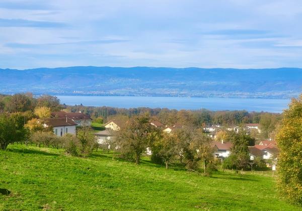 Maison 4 pièces VUE LAC PANORAMIQUE - ALLINGES (74)