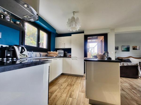 Maison 4 pièces VUE LAC PANORAMIQUE - ALLINGES (74)