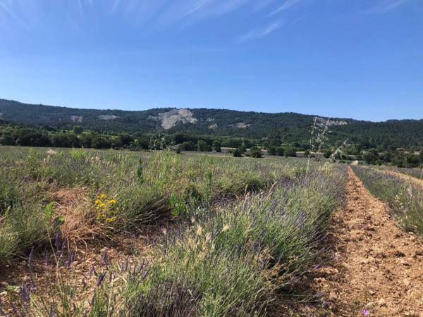 Habiter face au Colorado Provençal, une réalité...