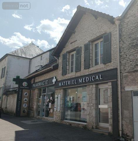 Murs commerciaux à vendre à Mussy-sur-Seine dans l'Aube (10250), ref : 10063/1260