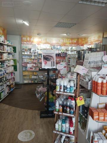 Murs commerciaux à vendre à Mussy-sur-Seine dans l'Aube (10250), ref : 10063/1260