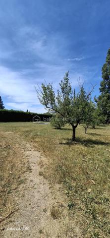 À vendre, terrain plat de 1656 m², constructible,non viabilisé.

 Idéalement situé, à proximité immédiate du centre-ville, des collèges, de la poste, des banques, tout en offrant un cadre verdoyant et calme, comme à la campagne. 

Ne manquez pas cette opportunité rare, contactez-nous pour plus d’informations et pour organiser une visite .